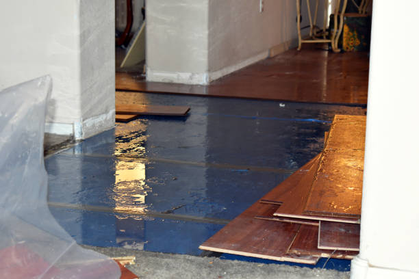 Professional Flood Damage Restoration technician working in Los Angeles, CA